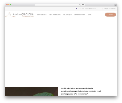 FourthEye WordPress theme - www.ao-therapies.fr