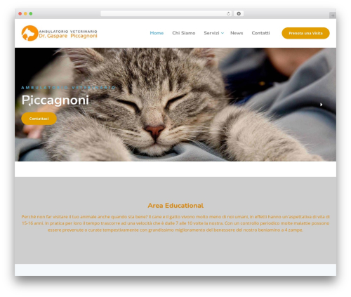 Physio-qt WP theme - piccagnoni.it