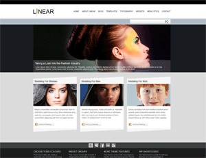 Pixel Linear best WordPress theme