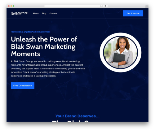 Techza WordPress website theme - blakswangroup.com