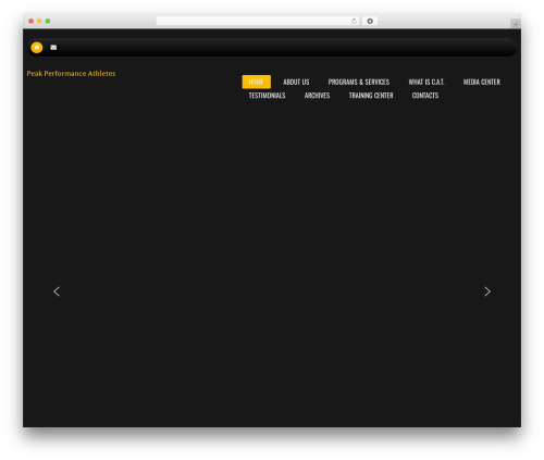 Theme WordPress cherry - peakperformanceathletes.com