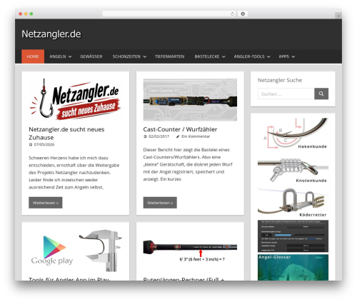 WP Glossary (wp-glossary) free WordPress plugin - netzangler.de