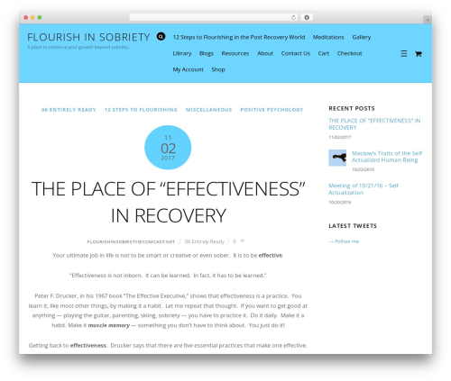 Themify Ultra WordPress website theme - flourishinsobriety.org