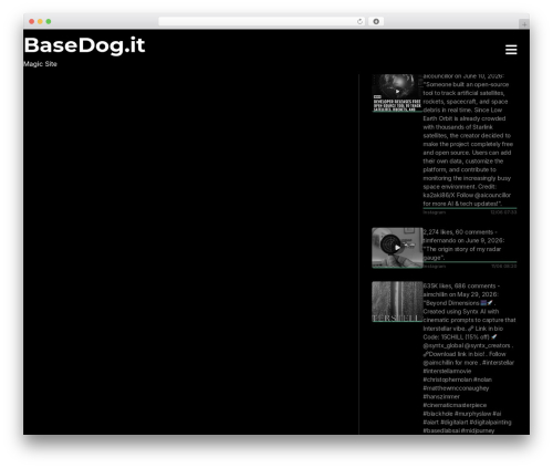 Ink WordPress theme design - basedog.it