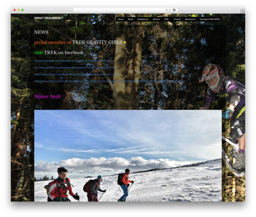 Modularity Lite theme WordPress - birgitbraumann.com