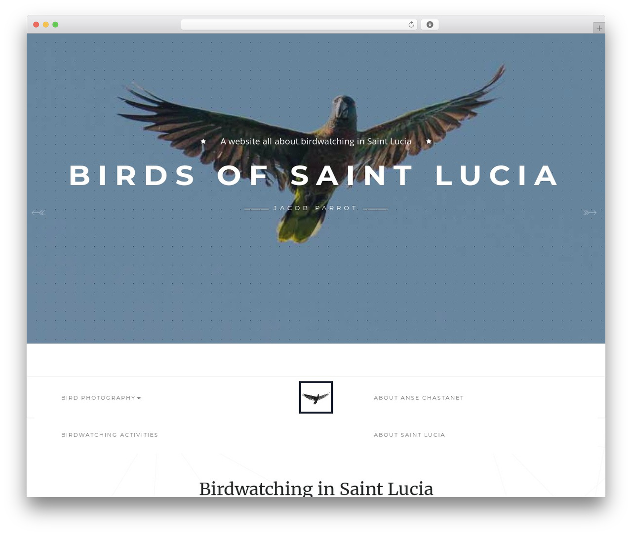 t-one WordPress theme - birdsofsaintlucia.com