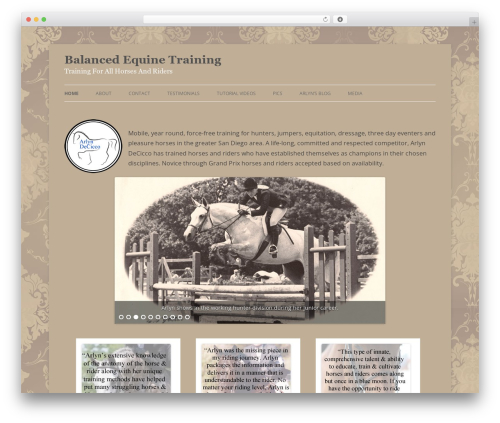 Balanced Equine Theme WordPress theme design - balancedequinetraining.com