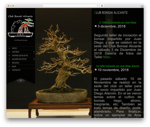 SKT Full Width theme WordPress - bonsaialicante.com