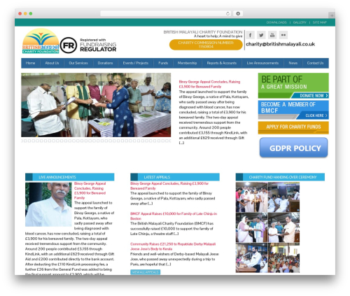 WordPress theme MX - bmcharity.org
