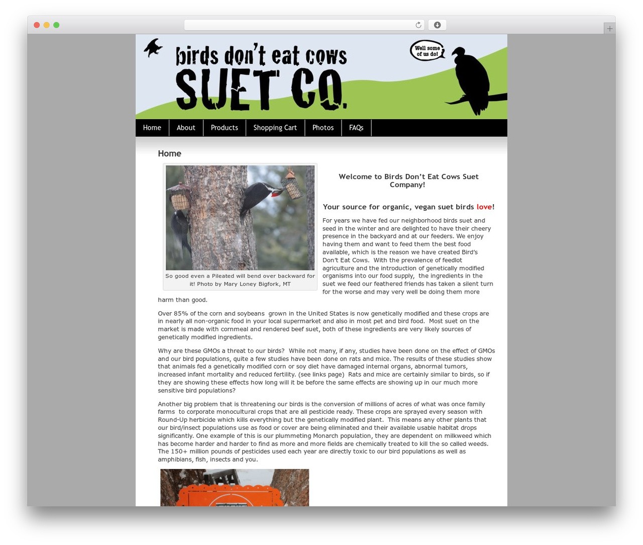BDEC Theme premium WordPress theme - birdsdonteatcows.com BDEC Theme premium WordPress theme - birdsdonteatcows.com
