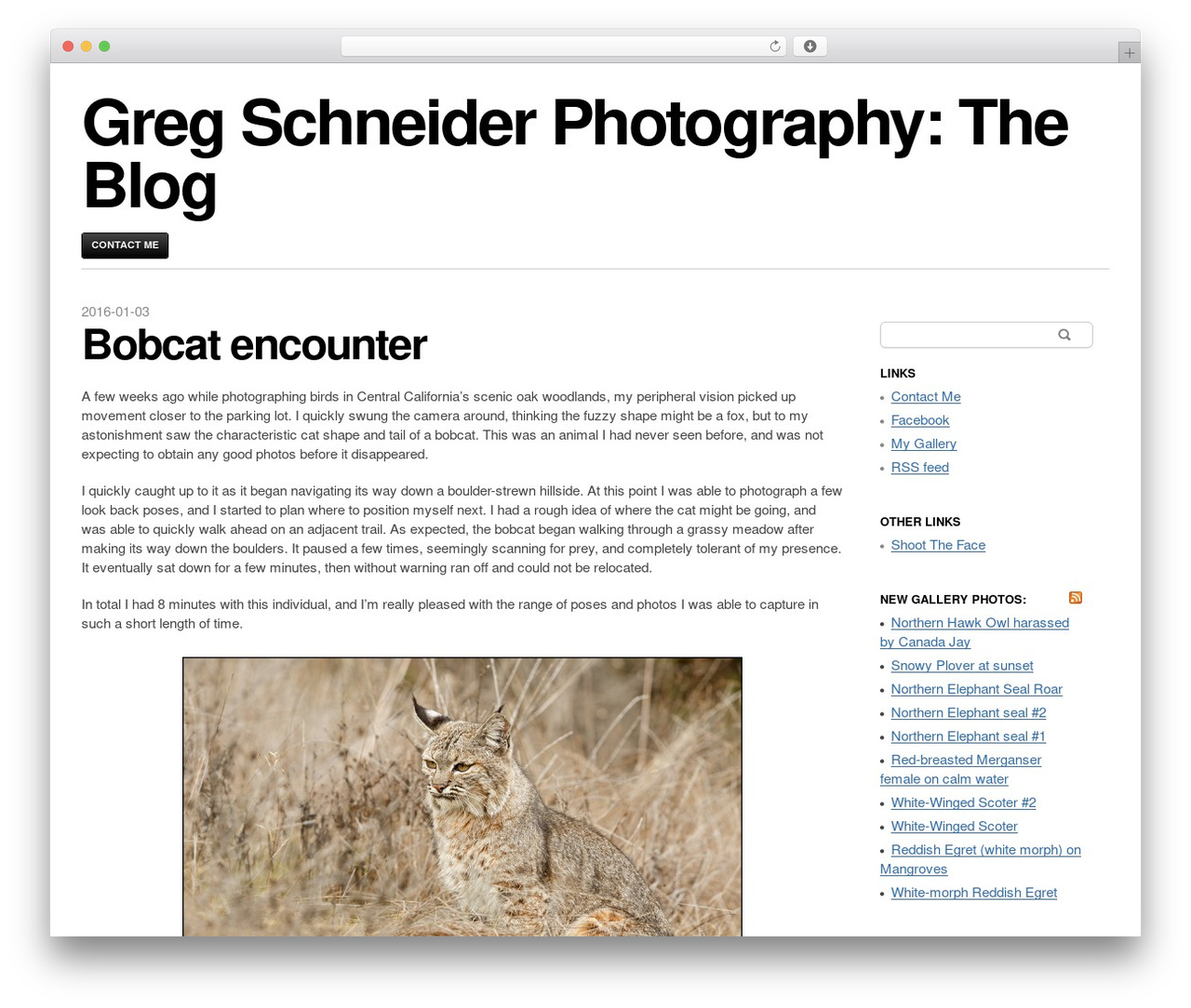 Blaskan - WordPress.com theme WordPress - birdphotographyblog.com