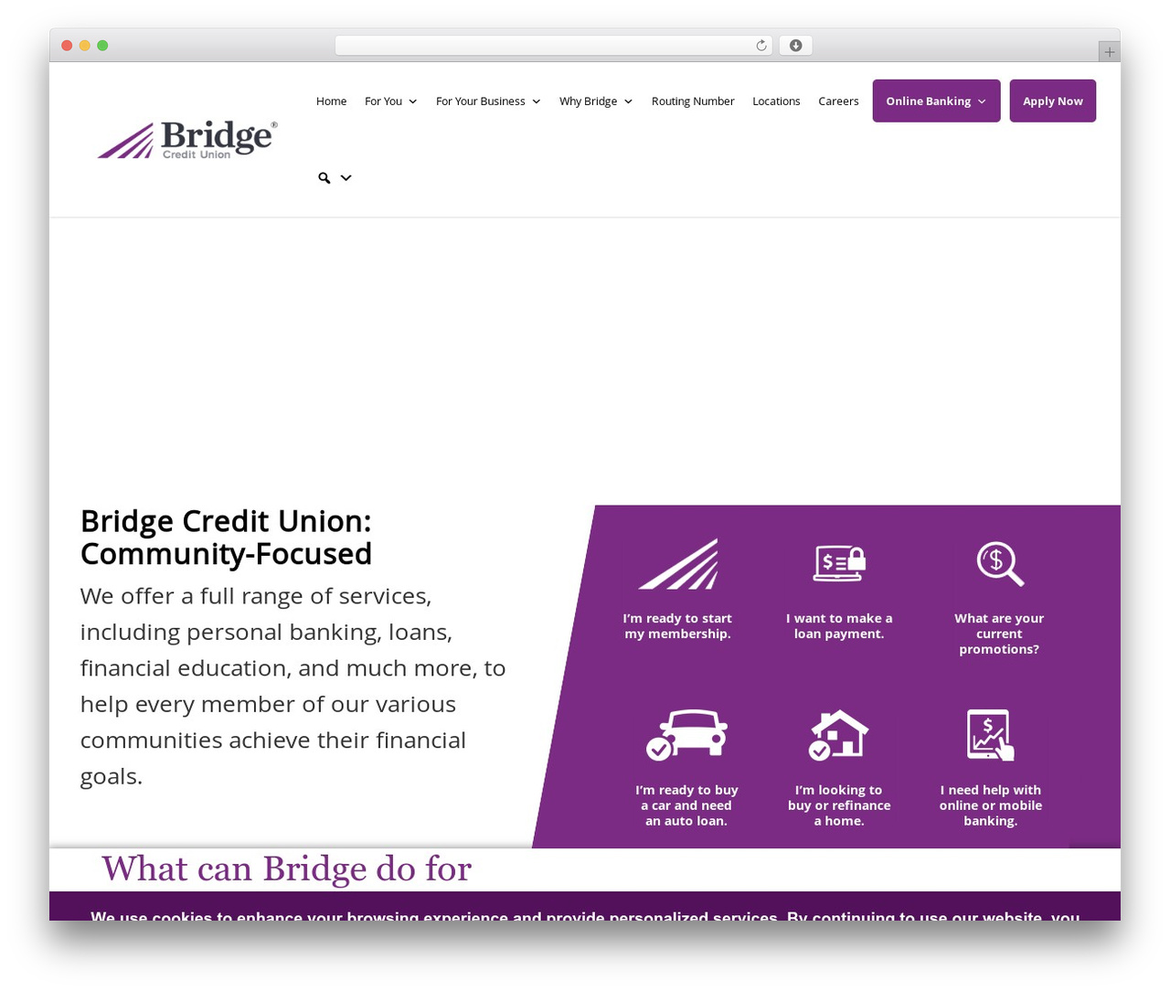 Salient top WordPress theme - bridgecu.org