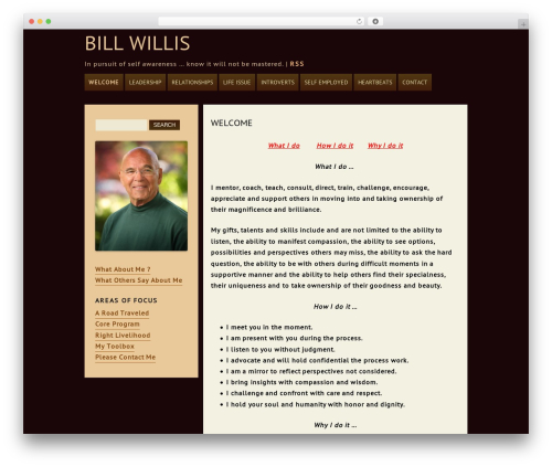 ar WordPress theme - billwillis.biz