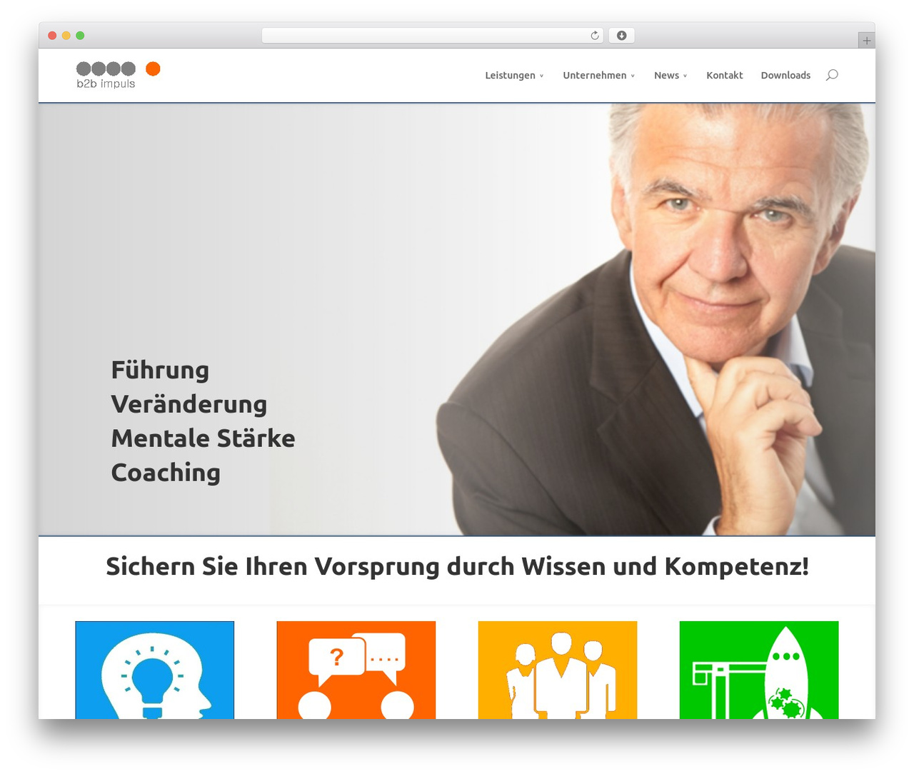 b2bimpuls WordPress ecommerce theme - b2bimpuls.de