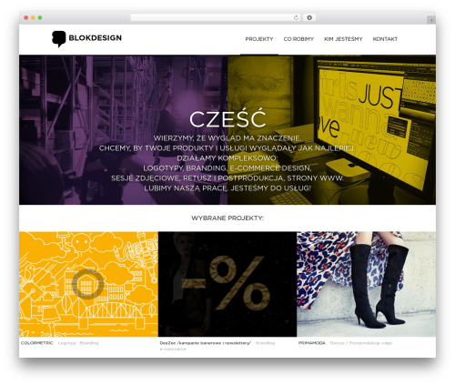 Best WordPress theme Baylie - blokdesign.pl
