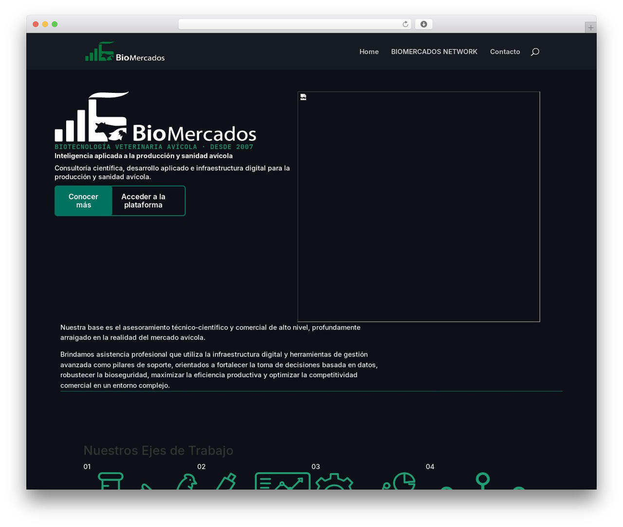 Divi WordPress theme design - biomercados.com