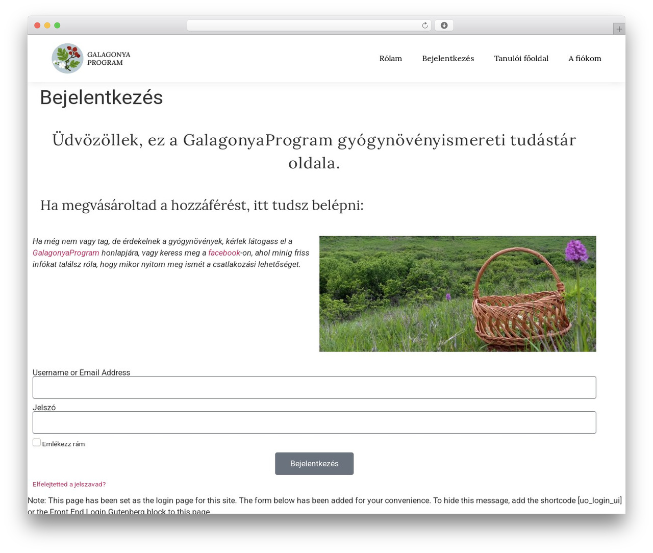 Hello Elementor WordPress theme - zsengecsira.hu