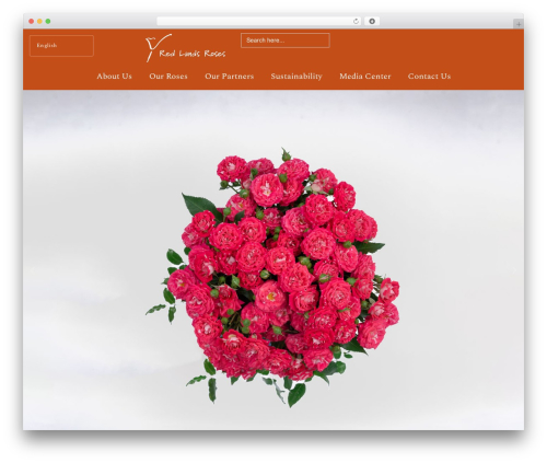 Loop grid extender for elementor pro WordPress plugin - redlandsroses.com