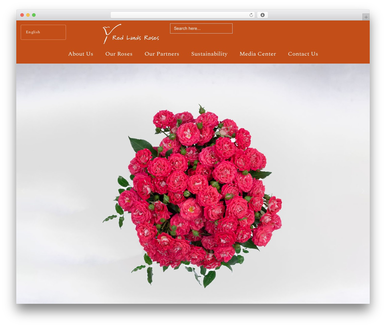 Hello Elementor WordPress theme - redlandsroses.com Hello Elementor WordPress theme - redlandsroses.com