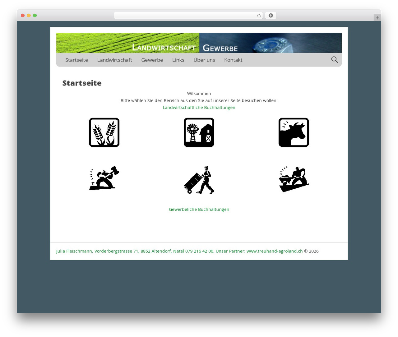 Nevertheless WordPress theme - julia-fleischmann.ch