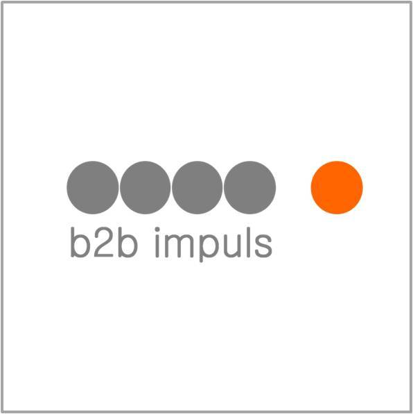 WordPress theme b2bimpuls