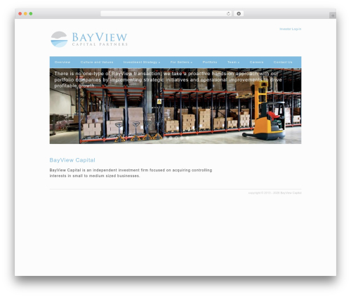 WordPress theme Skeleton - bviewcap.com