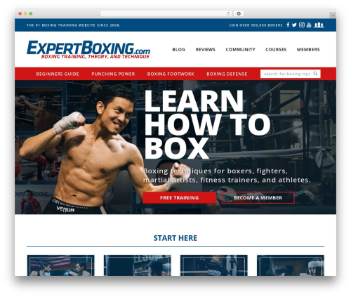 ExpertBoxing WordPress theme - expertboxing.com