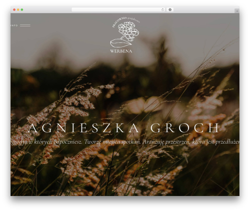 Solene core WordPress plugin - werbenaogrody.pl