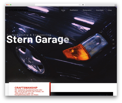 Themetonaddon WordPress plugin - stern-garage.com