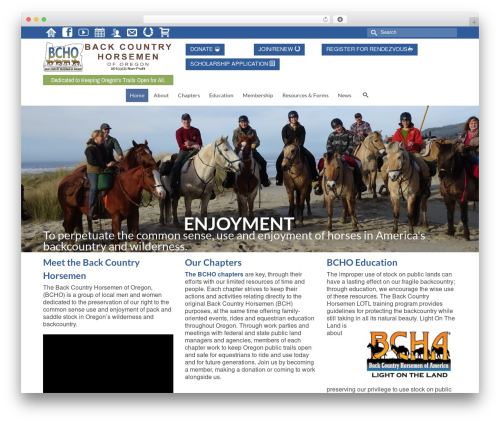 Theme WordPress Virtue - Premium - bcho.org