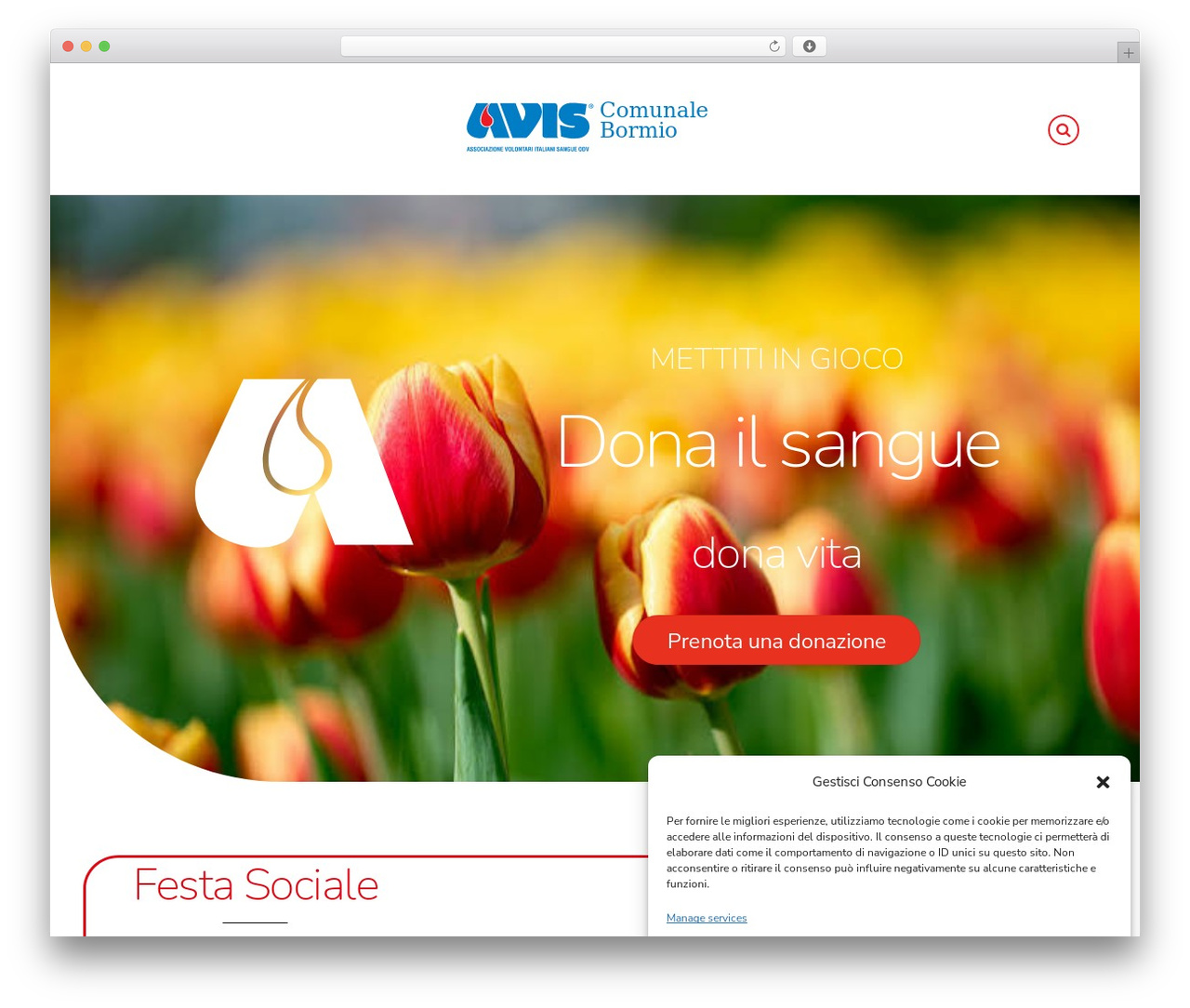 Themify Simple Child WordPress theme - www.avisbormio.it Themify Simple Child WordPress theme - www.avisbormio.it