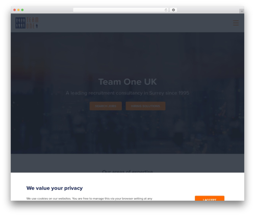 WordPress website theme BFI WordPress minisite Theme - teamoneuk.com