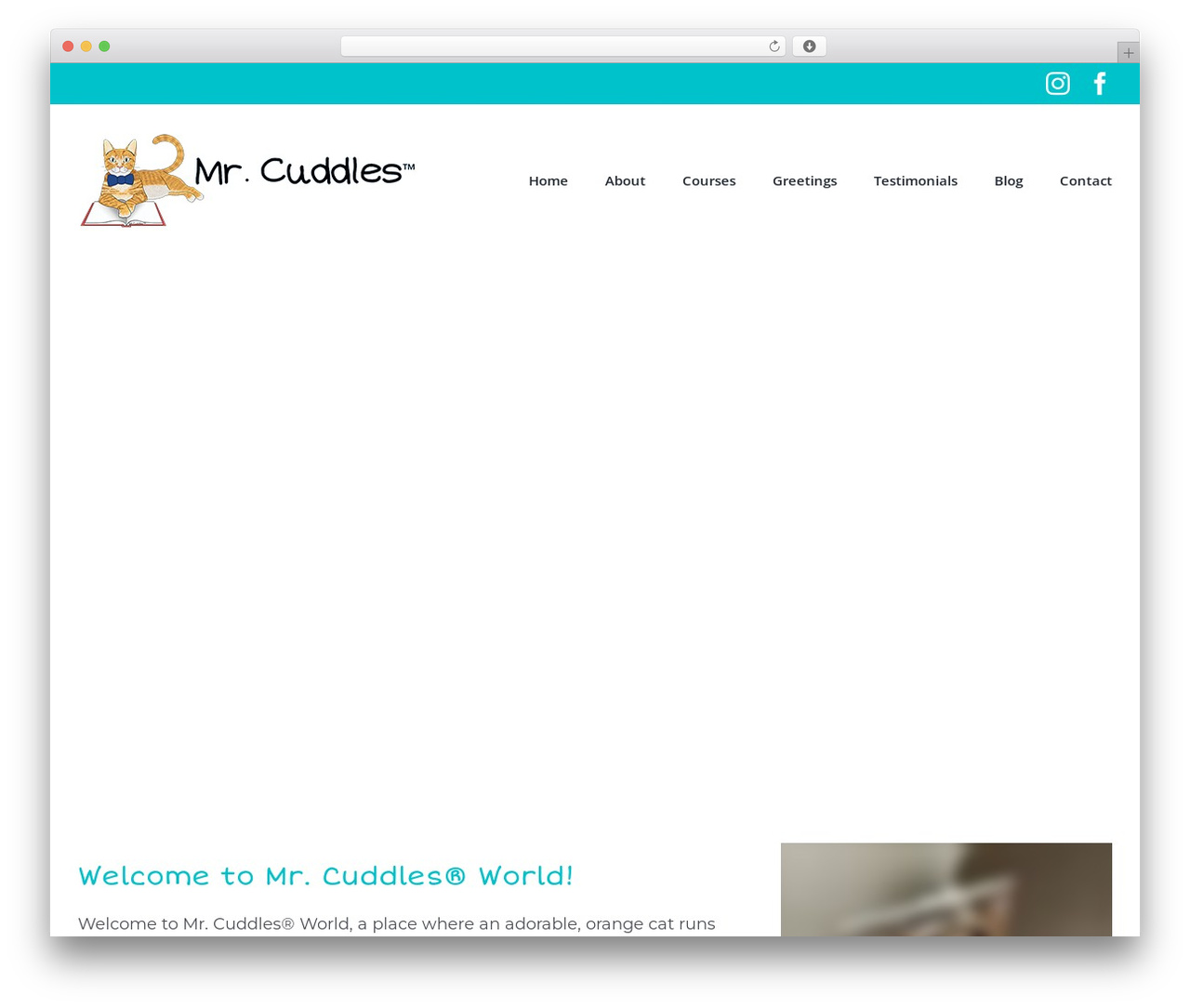 Avada WordPress theme - mrcuddlesworld.com