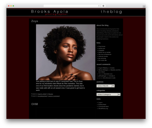 Brooks WordPress blog theme - blog.ayola.com