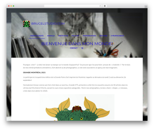 Geode WordPress theme design - brucelstudio.com Geode WordPress theme design - brucelstudio.com