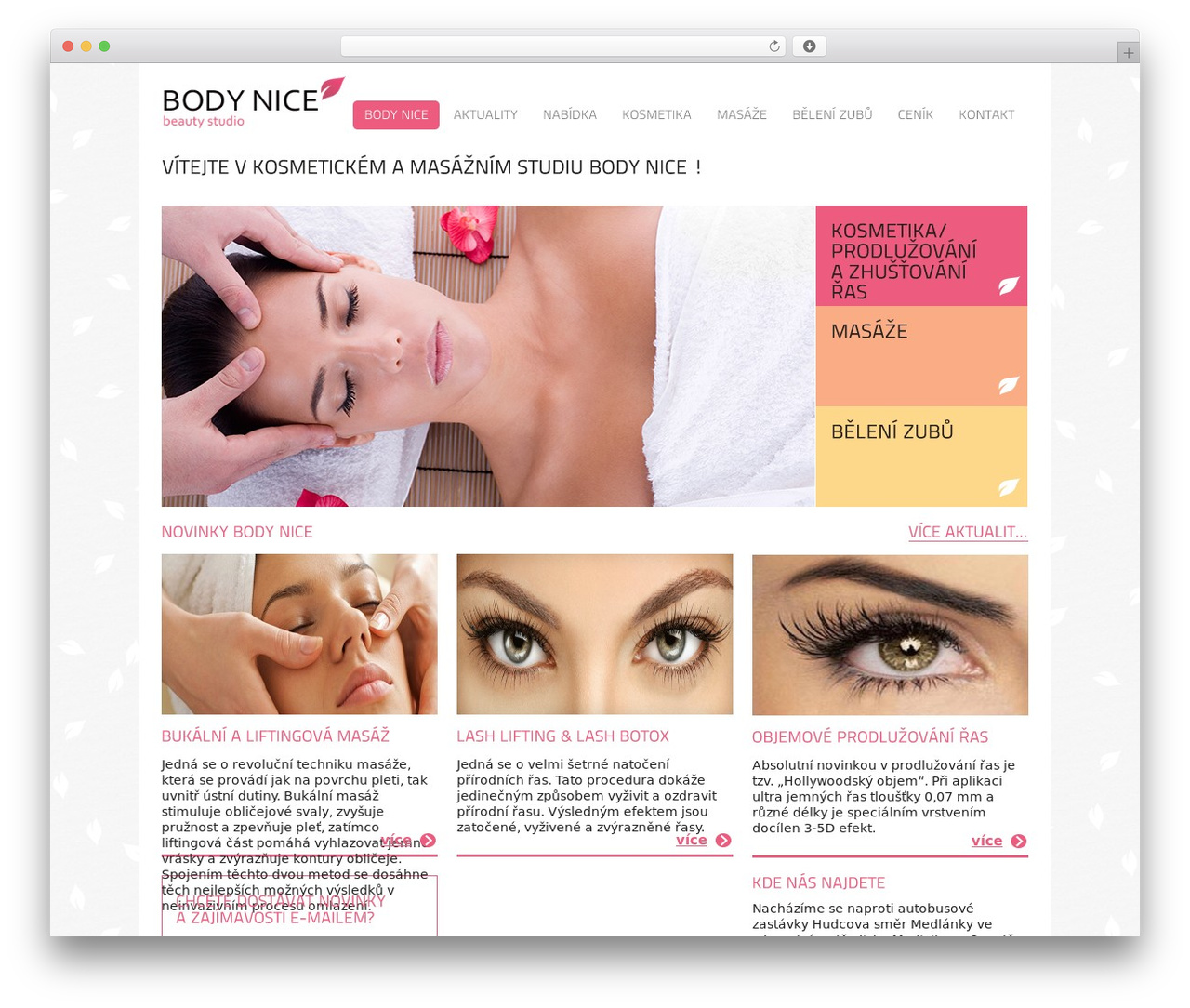 WordPress theme Bodynice - bodynice.cz