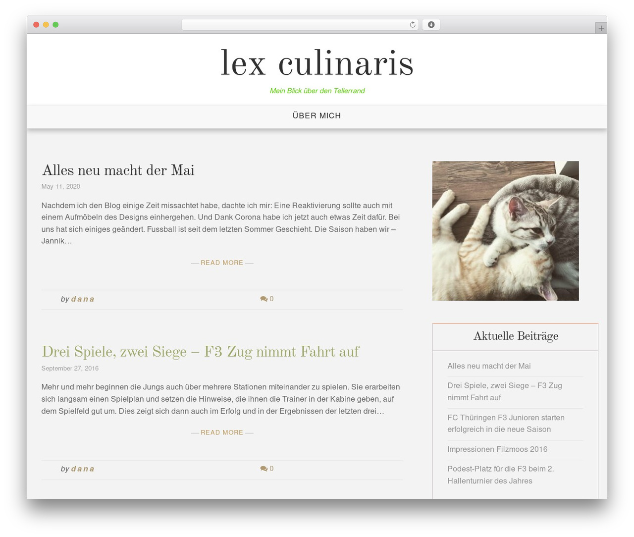 Article Lite premium WordPress theme - danalipka.de Article Lite premium WordPress theme - danalipka.de