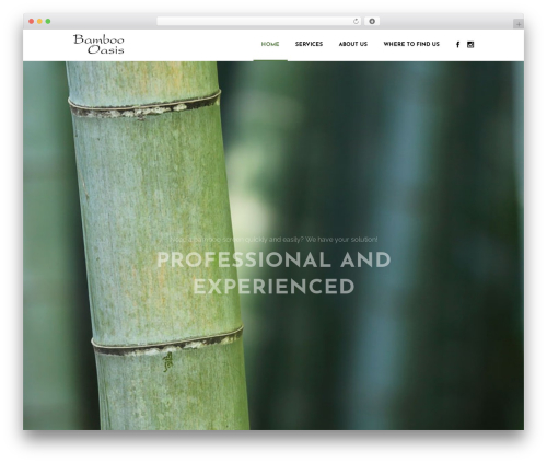 Bodega premium WordPress theme - bamboooasis.com