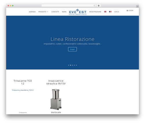 Divi WordPress theme - everest-srl.com