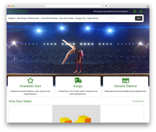 Hello Elementor WordPress theme - ensaspor.com