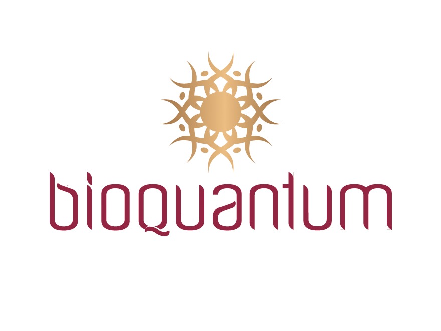 Tempera Bioquantum 2014 WordPress theme
