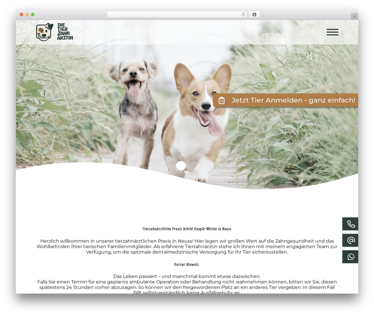 WordPress theme FlexLine - www.dietierzahnaerztin.de