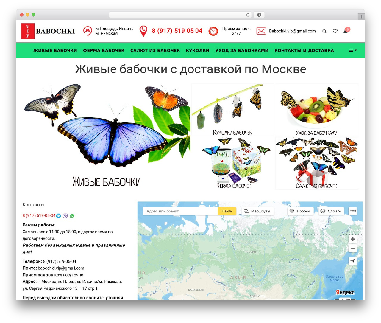 WR Nitro WordPress theme - babochki.vip