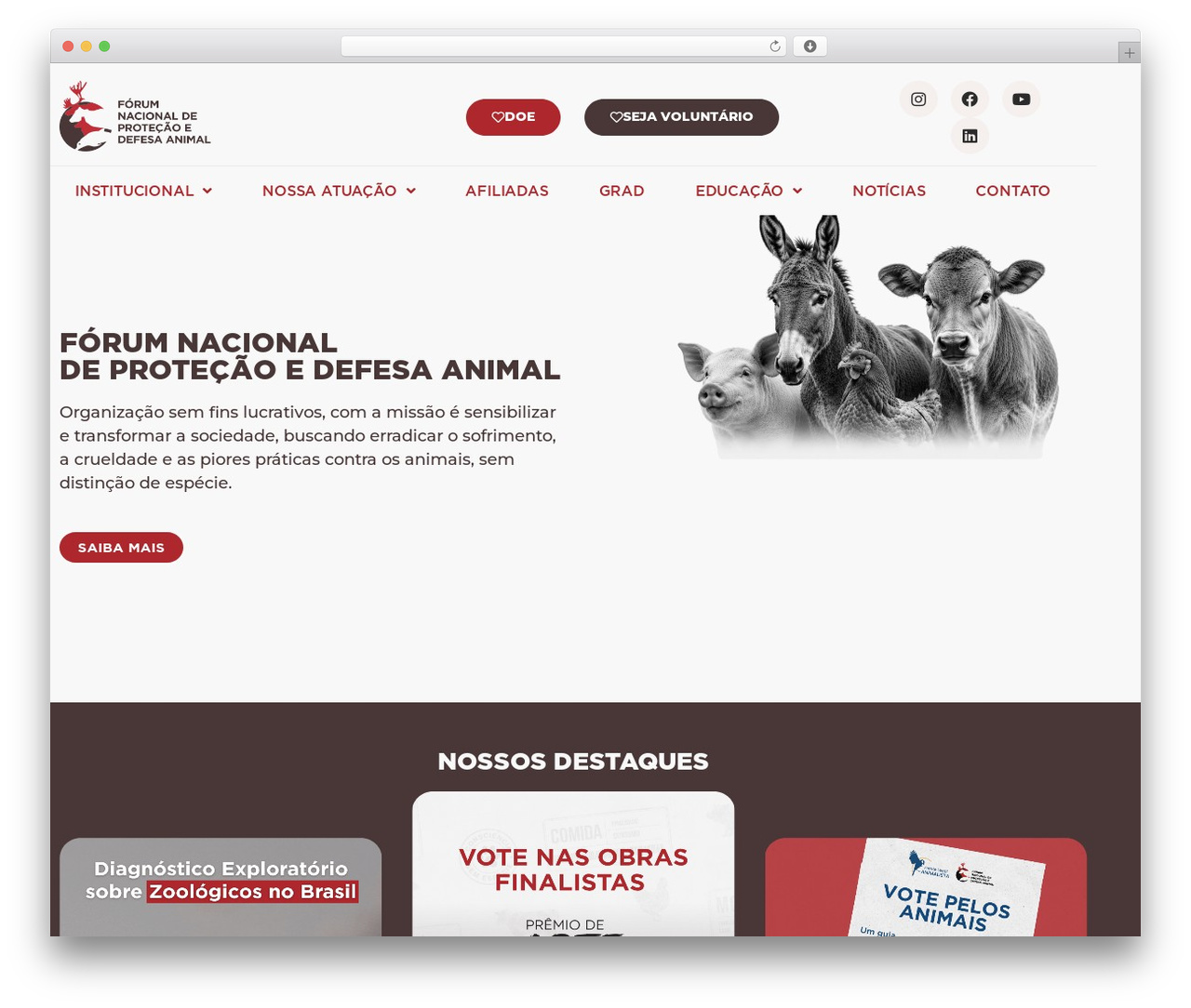 Hello Elementor WordPress theme - forumanimal.org Hello Elementor WordPress theme - forumanimal.org