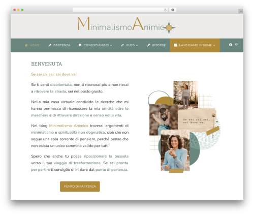 Simple pin it for pinterest WordPress plugin - ambrapamelagirardi.com