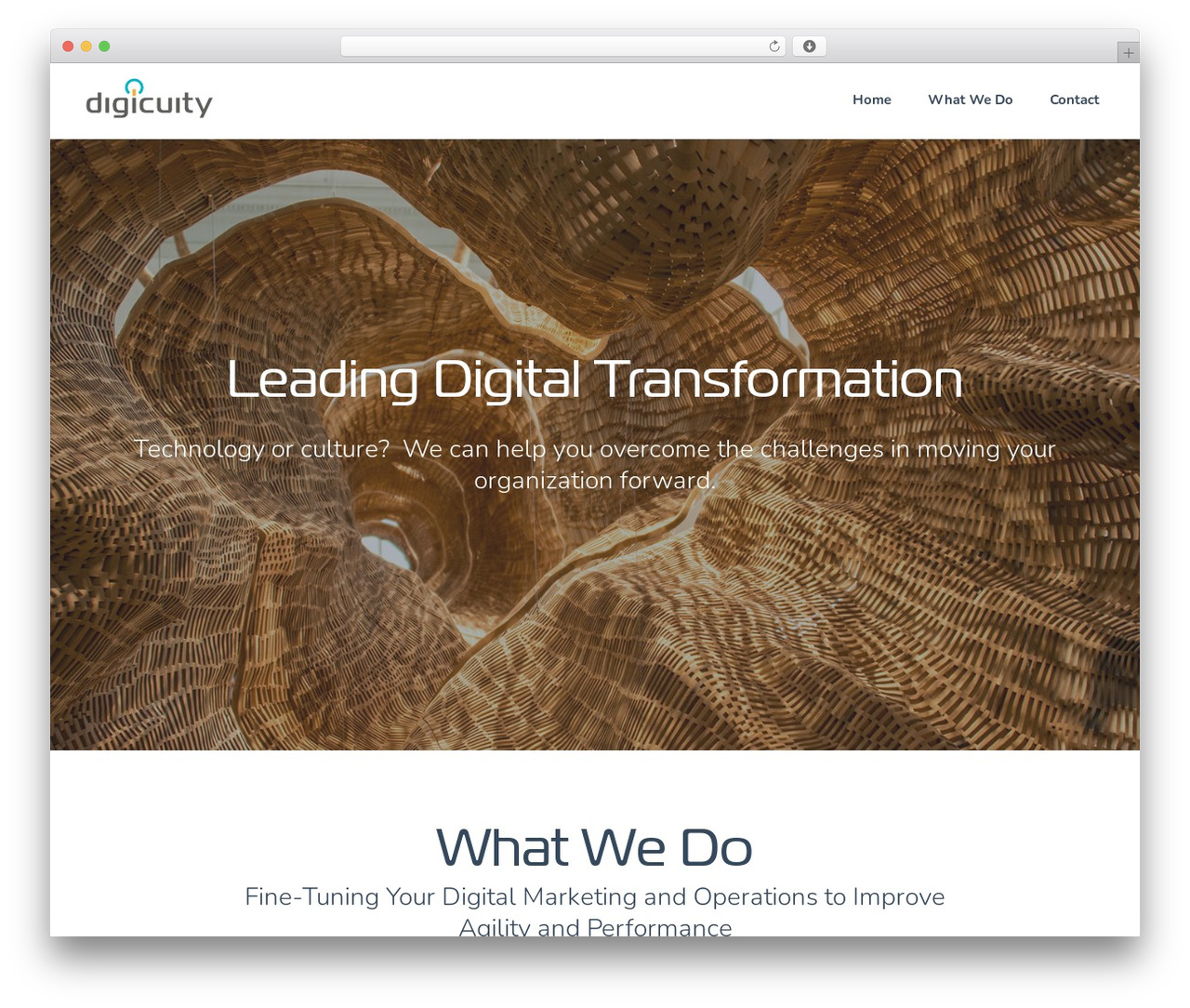 Start theme WordPress - digicuity.com
