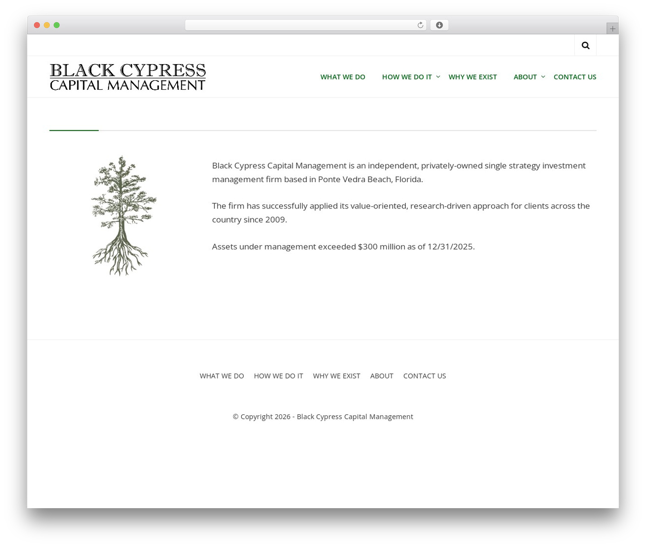 Theme WordPress Cell - blackcypresscapital.com Theme WordPress Cell - blackcypresscapital.com
