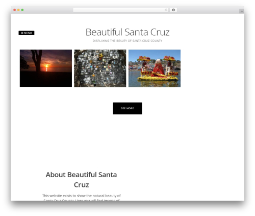 WordPress theme Gridsby - beautifulsantacruz.com
