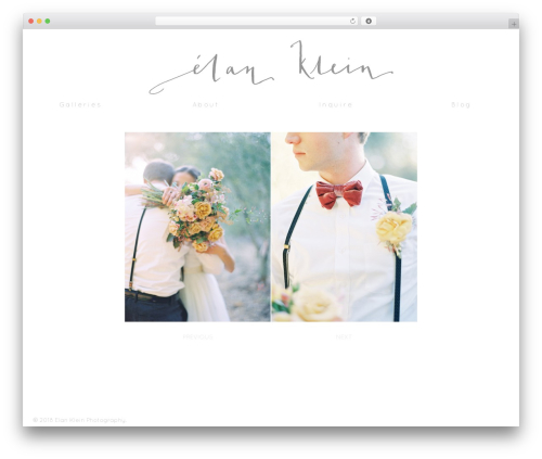 Client WordPress theme - elankleinphoto.com