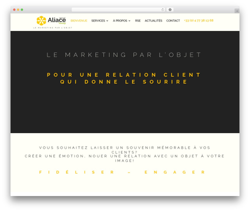 Divi WordPress theme - groupe-aliace.com